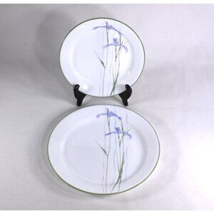 Vintage Corelle Corningware Shadow Iris plate set for one, lunch + bread plate